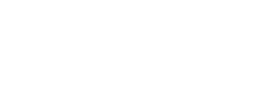 Fashion Curvy