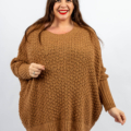 Une femme portant un pull en tricot marron sourit sur un fond uni. Mode Grande taille