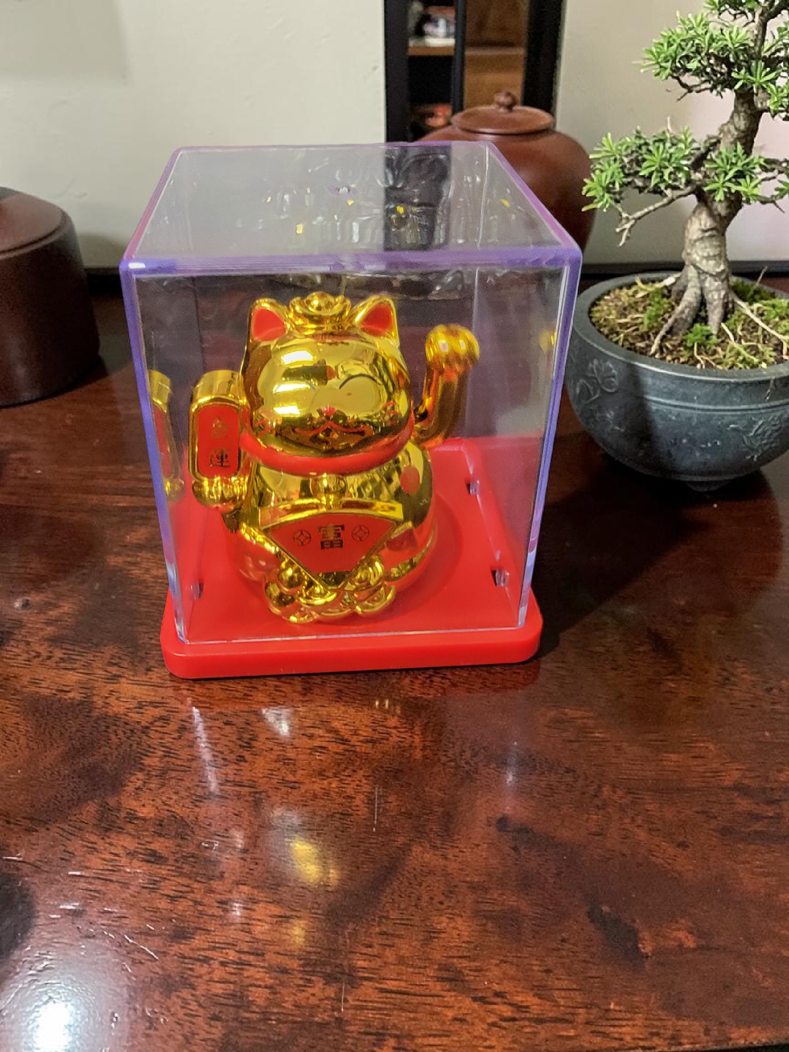 Chat porte bonheur Maneki Neko – Fashion Curvy Shop